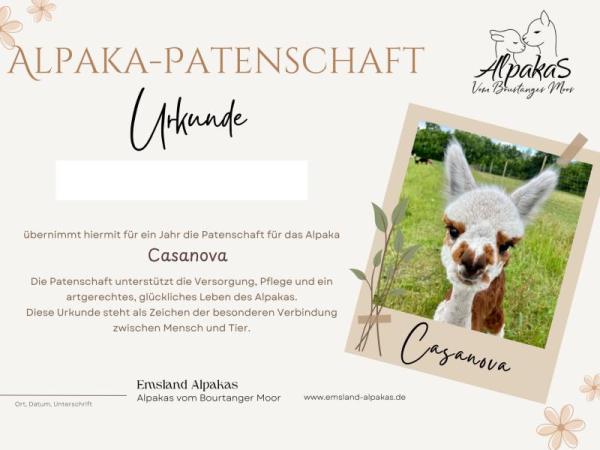 Beispiel für eine Urkunde